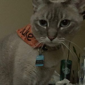 Meet your Posher, Danelle